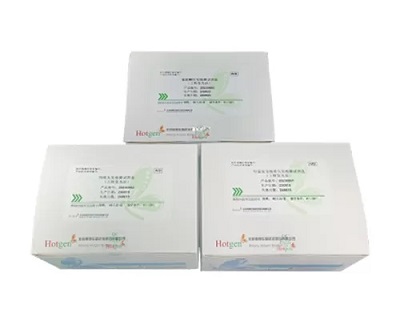 Hair vs. Urine: Why UPT Hair Drug Testing Is Better for Long-Term Commercial Driver’s License Screening