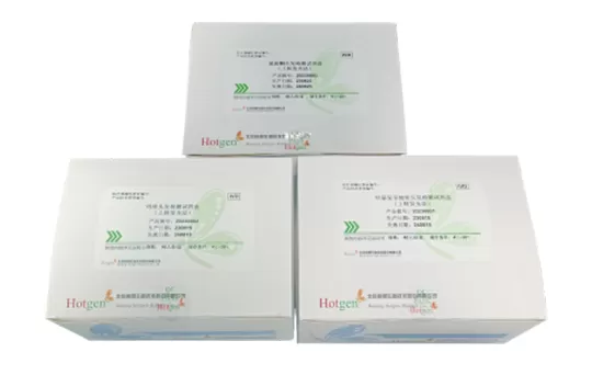 UPT Hair Sample Drug Testing Products