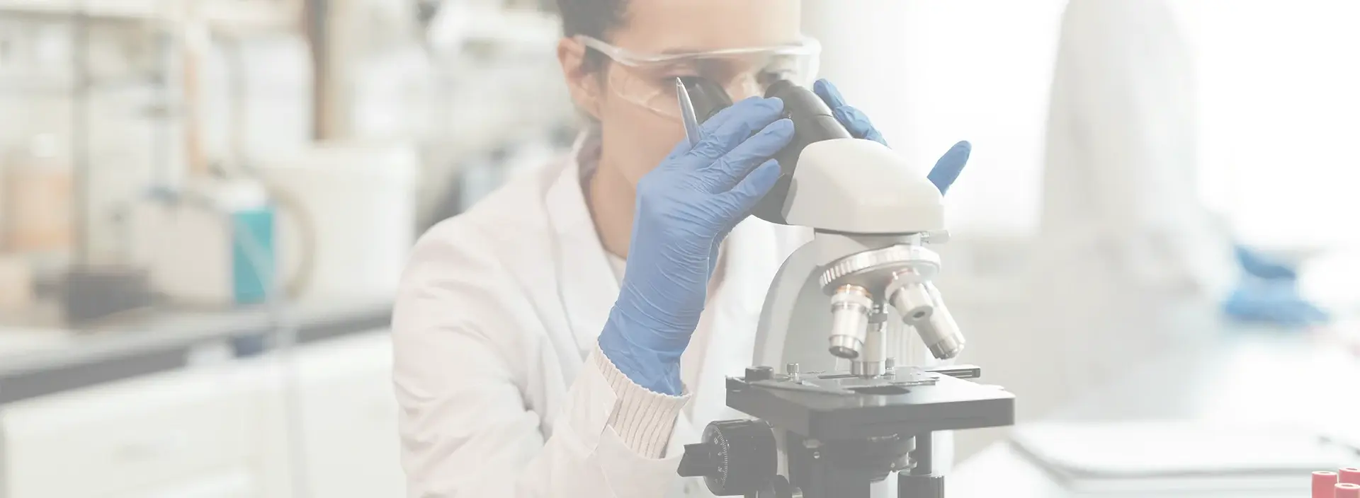 Pilot R & D and Production Platform